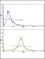 CDC2 Antibody (N-term)
